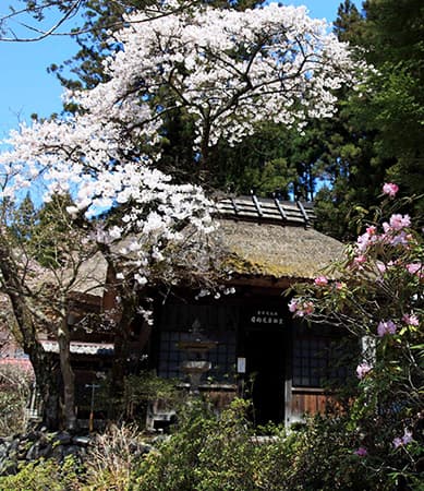 写真：四万温泉